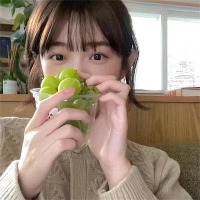 海葵